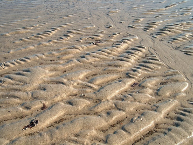 Molten Lava Cake with Vanilla Ice Cream